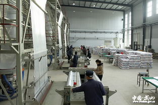 索鴻賓 著力加快蔬菜產業(yè)綠色安全健康發(fā)展