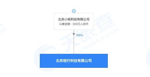 滴滴成立桔行科技公司，注冊資本500萬元，聚焦信息技術咨詢服務